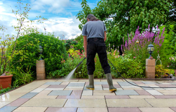 Best Animal Enclosure Cleaning  in St Albans, VT